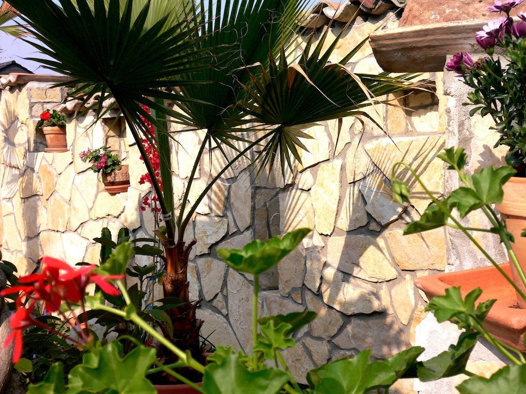 Apartmenthaus Casa Palma Bühl Dış mekan fotoğraf